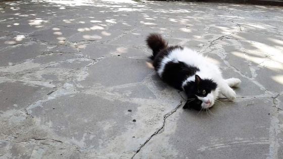 No photo description available.