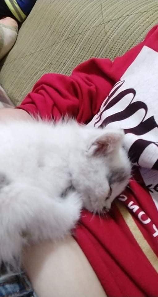 No photo description available.