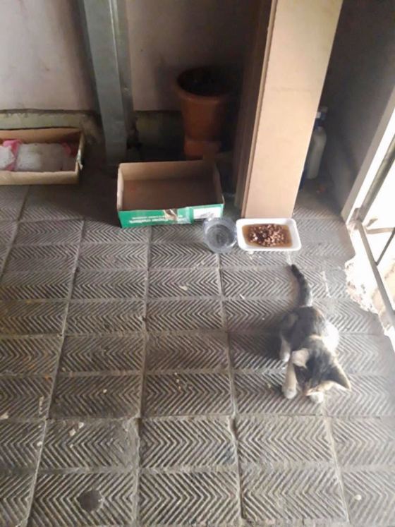 No photo description available.