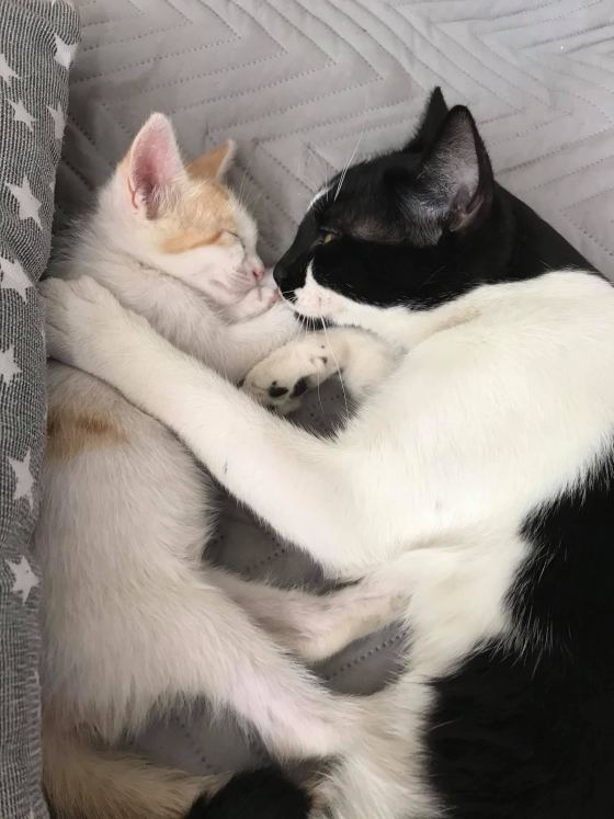 No photo description available.