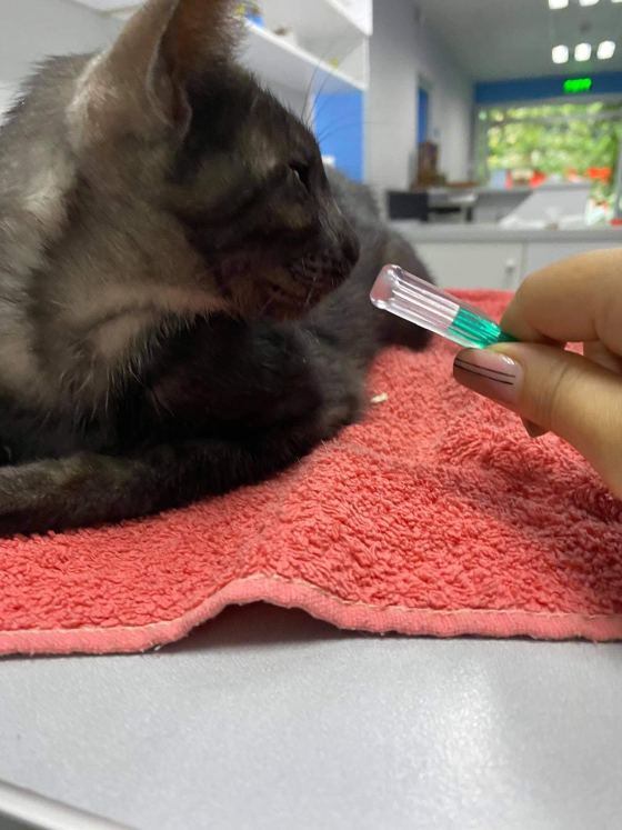 No photo description available.