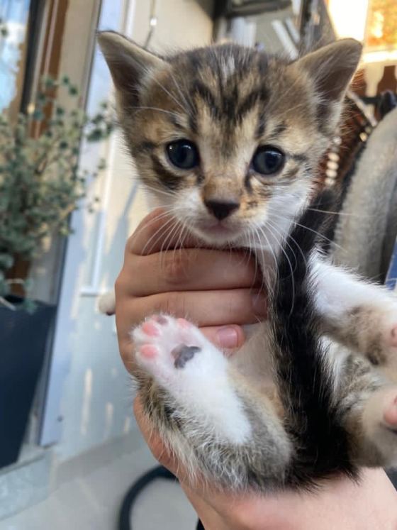 No photo description available.