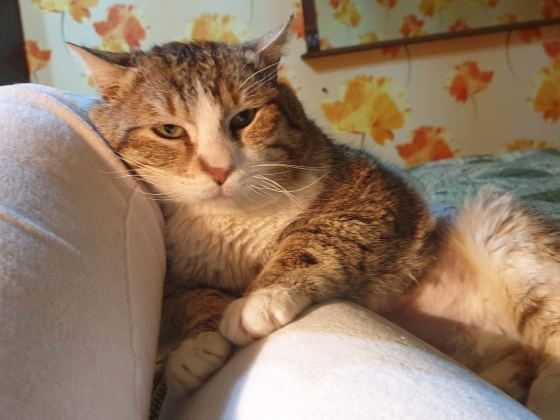 No photo description available.